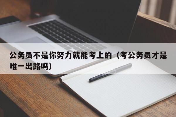 公务员不是你努力就能考上的（考公务员才是唯一出路吗）