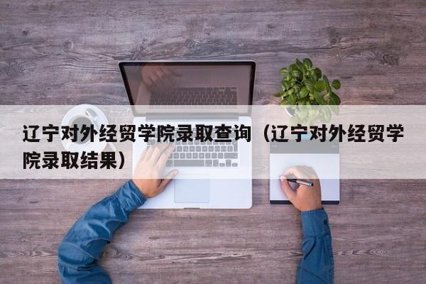 辽宁对外经贸学院录取查询（辽宁对外经贸学院录取结果）