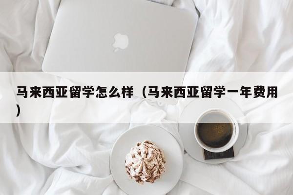 马来西亚留学怎么样（马来西亚留学一年费用）