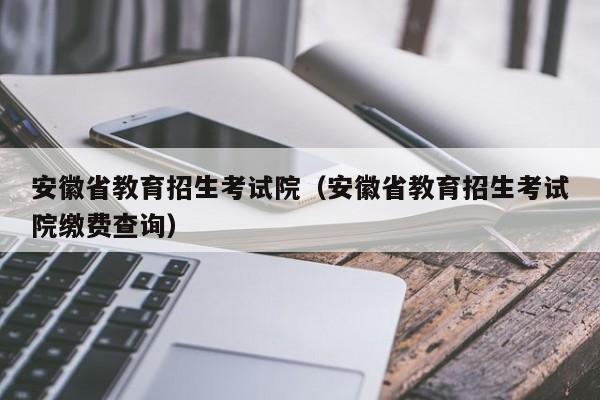 安徽省教育招生考试院（安徽省教育招生考试院缴费查询）