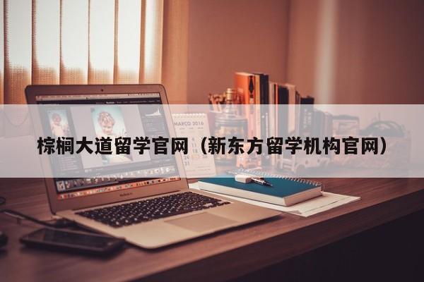 棕榈大道留学官网（新东方留学机构官网）