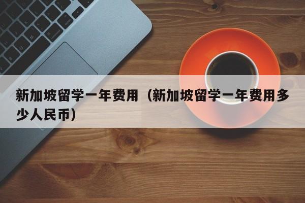 新加坡留学一年费用（新加坡留学一年费用多少人民币）