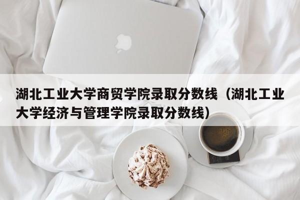 湖北工业大学商贸学院录取分数线（湖北工业大学经济与管理学院录取分数线）