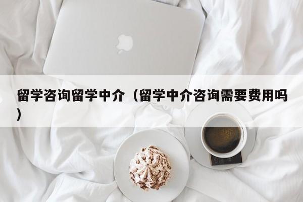 留学咨询留学中介（留学中介咨询需要费用吗）