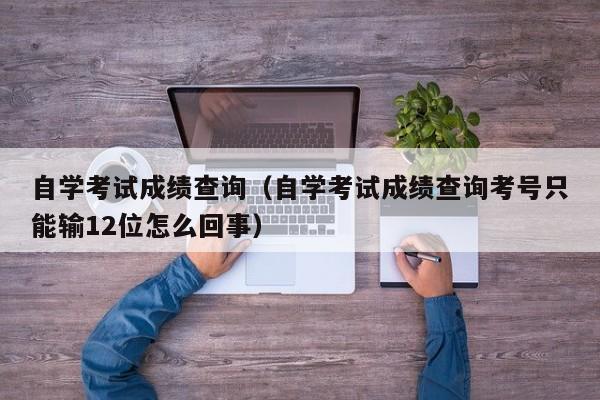 自学考试成绩查询（自学考试成绩查询考号只能输12位怎么回事）