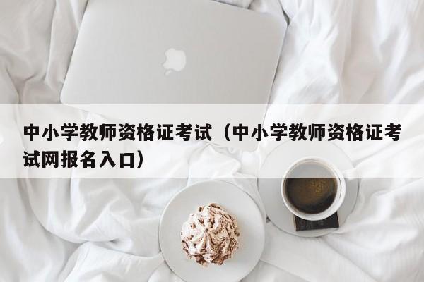 中小学教师资格证考试（中小学教师资格证考试网报名入口）