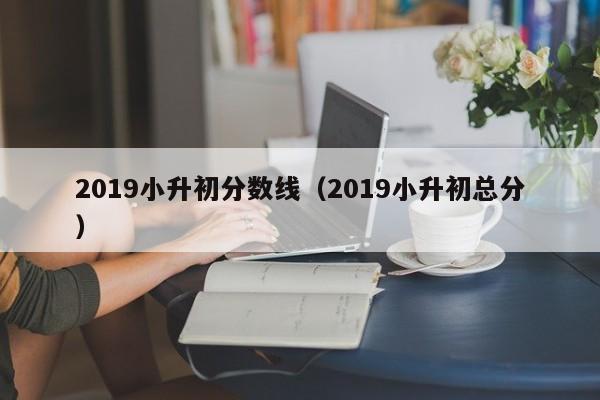 2019小升初分数线（2019小升初总分）