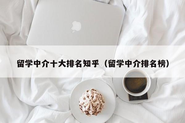 留学中介十大排名知乎（留学中介排名榜）