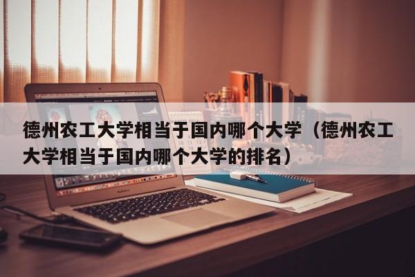 德州农工大学相当于国内哪个大学（德州农工大学相当于国内哪个大学的排名）