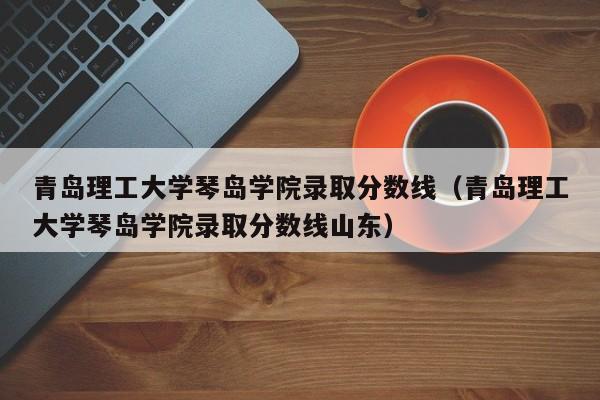 青岛理工大学琴岛学院录取分数线（青岛理工大学琴岛学院录取分数线山东）