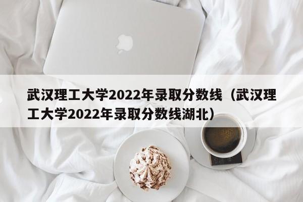 武汉理工大学2022年录取分数线（武汉理工大学2022年录取分数线湖北）