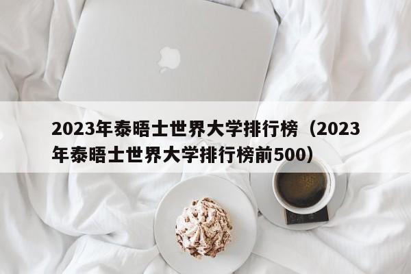 2023年泰晤士世界大学排行榜（2023年泰晤士世界大学排行榜前500）