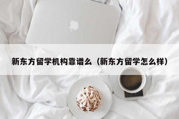 新东方留学机构靠谱么（新东方留学怎么样）