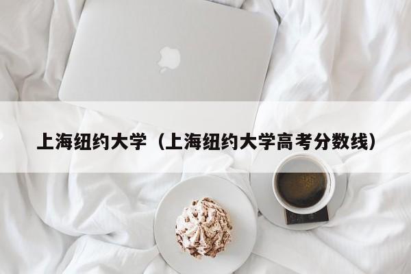 上海纽约大学（上海纽约大学高考分数线）