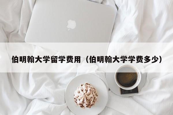 伯明翰大学留学费用（伯明翰大学学费多少）