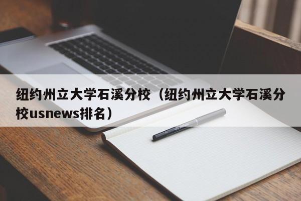 纽约州立大学石溪分校（纽约州立大学石溪分校usnews排名）