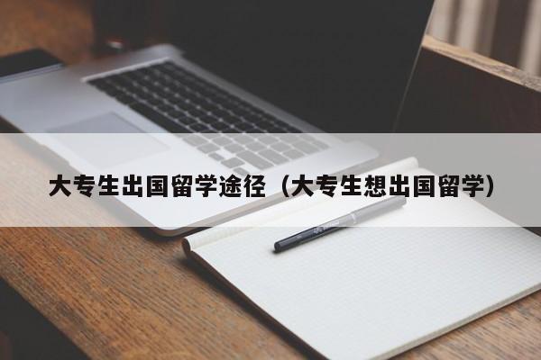 大专生出国留学途径（大专生想出国留学）