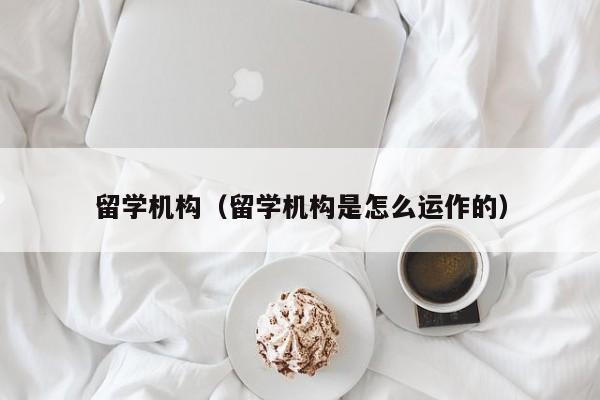 留学机构（留学机构是怎么运作的）