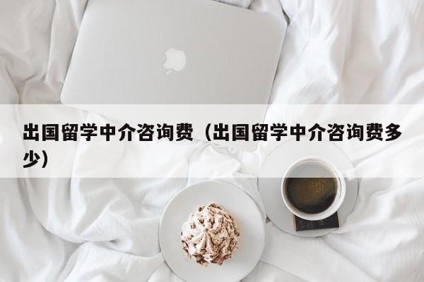 出国留学中介咨询费（出国留学中介咨询费多少）